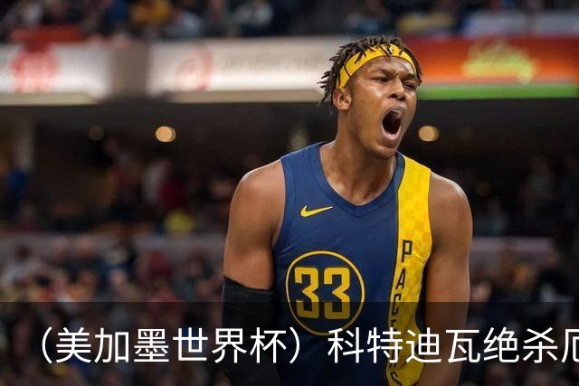 （美加墨世界杯）科特迪瓦绝杀厄瓜多尔 瑞典5:1大胜突尼斯